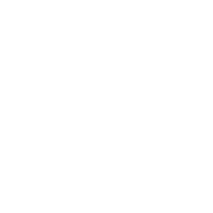 Play Icon